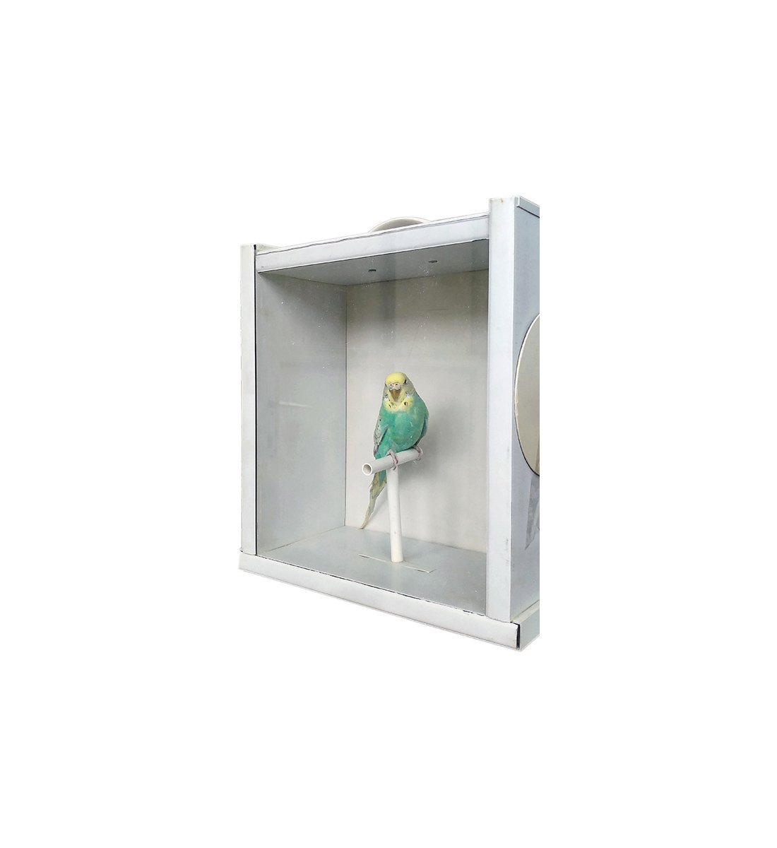 MODEL STD12CM - STÜDYO KAFESİ - POZLAMA KAFESİ