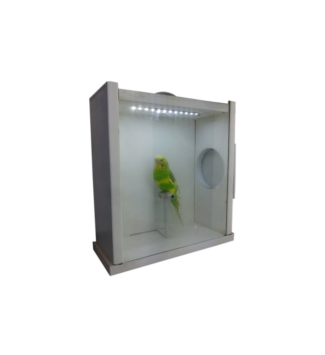 MODEL STD12CM - STÜDYO KAFESİ - POZLAMA KAFESİ