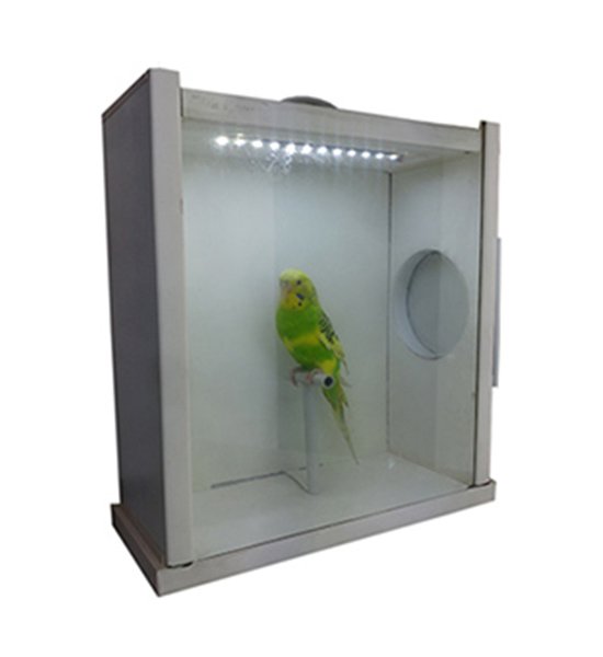 MODEL STD12CM - STÜDYO KAFESİ - POZLAMA KAFESİ